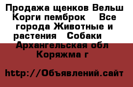 Продажа щенков Вельш Корги пемброк  - Все города Животные и растения » Собаки   . Архангельская обл.,Коряжма г.